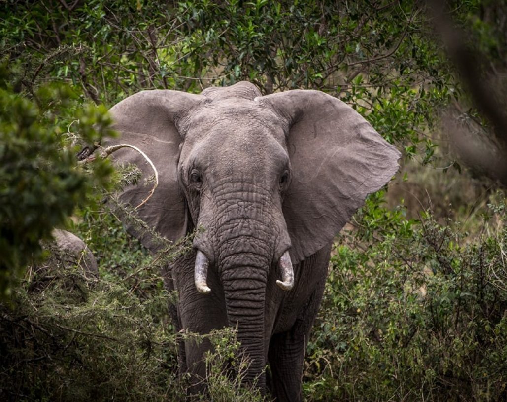 354557575_729004925899762_3434313387063879981_n